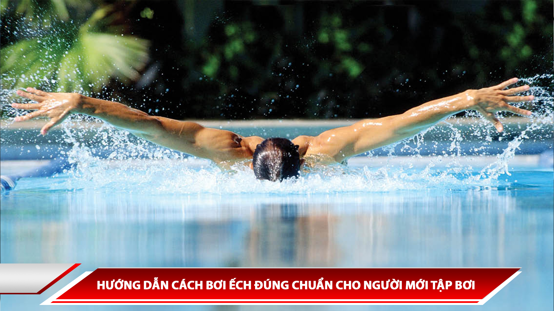 HƯỚNG DẪN CÁCH BƠI ẾCH ĐÚNG CHUẨN CHO NGƯỜI MỚI TẬP BƠI
